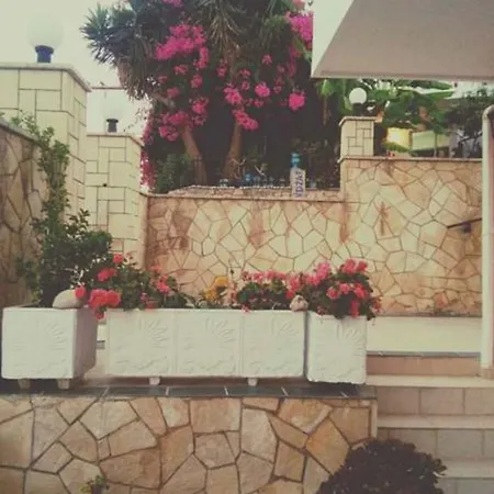 Vaso-alykanas Apartment